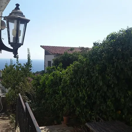 Morisca * Lloret de Mar